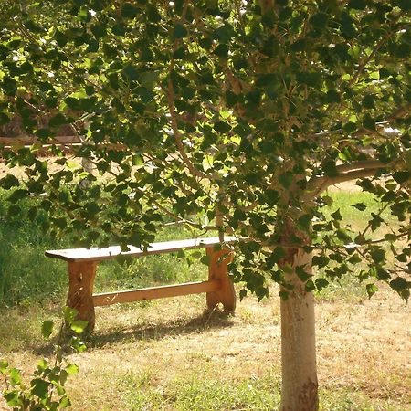 Masia El Carcaba - Moli Del Pont. Cornudella de Montsant Zewnętrze zdjęcie