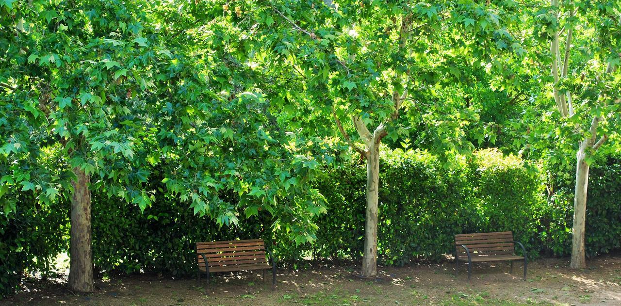 Masia El Carcaba - Moli Del Pont. Cornudella de Montsant Zewnętrze zdjęcie